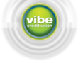 Vibe Credit Union logo