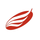 American Eagle Financial Credit Union logo
