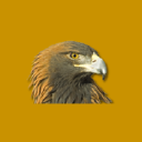 Golden Eagle Community Bank logo